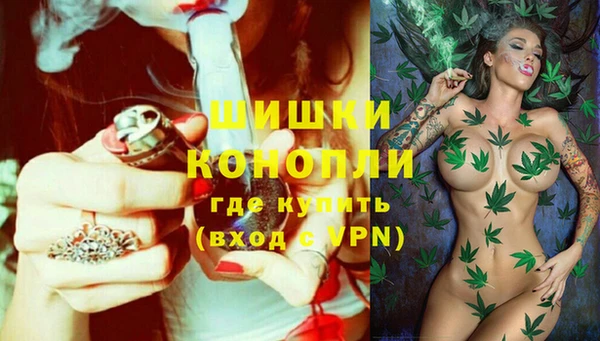 хмурый Мегион