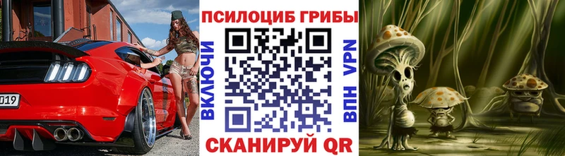 купить  цена  Королёв  Псилоцибиновые грибы мицелий 